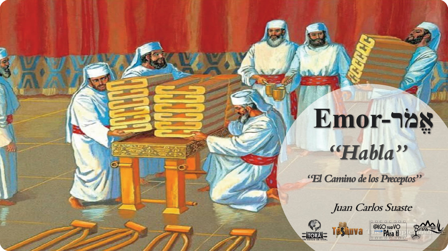 2022-2023 Parasha "Emor"