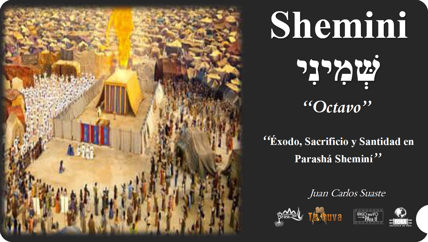 2024-2025 Parasha "Shemini"
