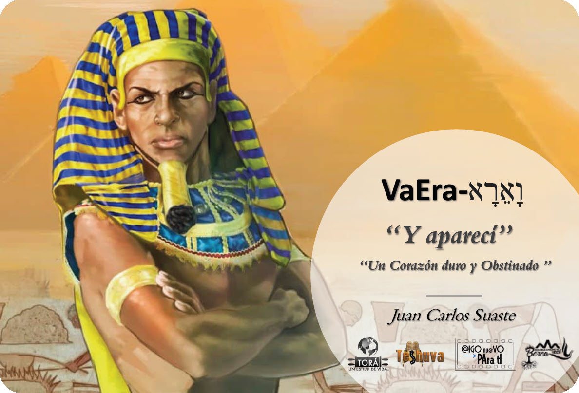 2022-2023 Parasha "Vaera"